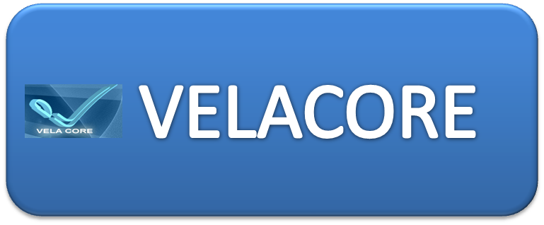 Download VELA
